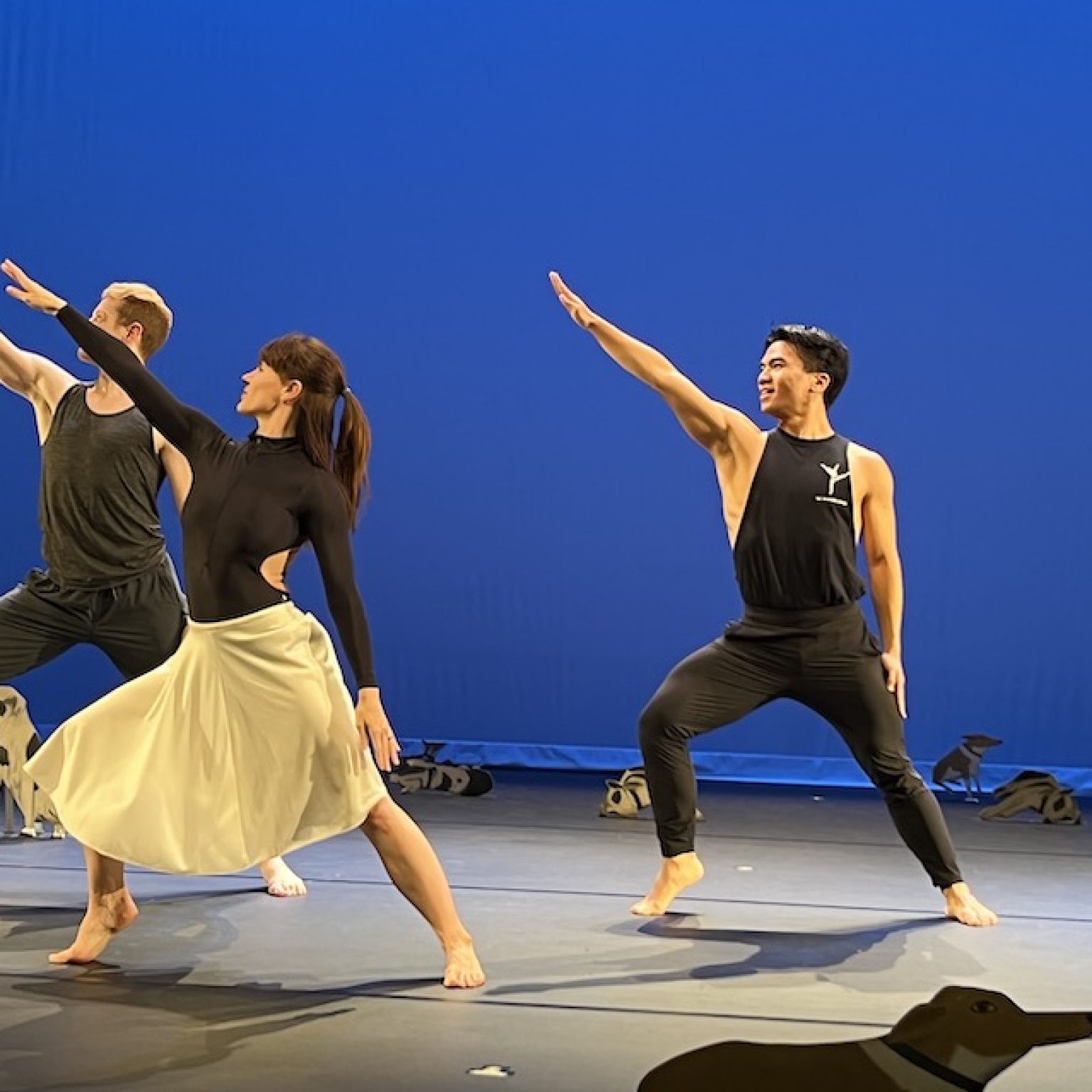 Paul Taylor’s Austin Kelly Lincoln Center - Dance Informa Magazine