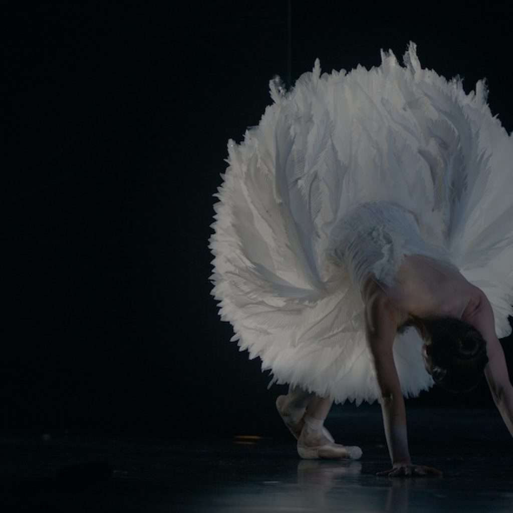 A dancer stretches in 'Swan Song'.